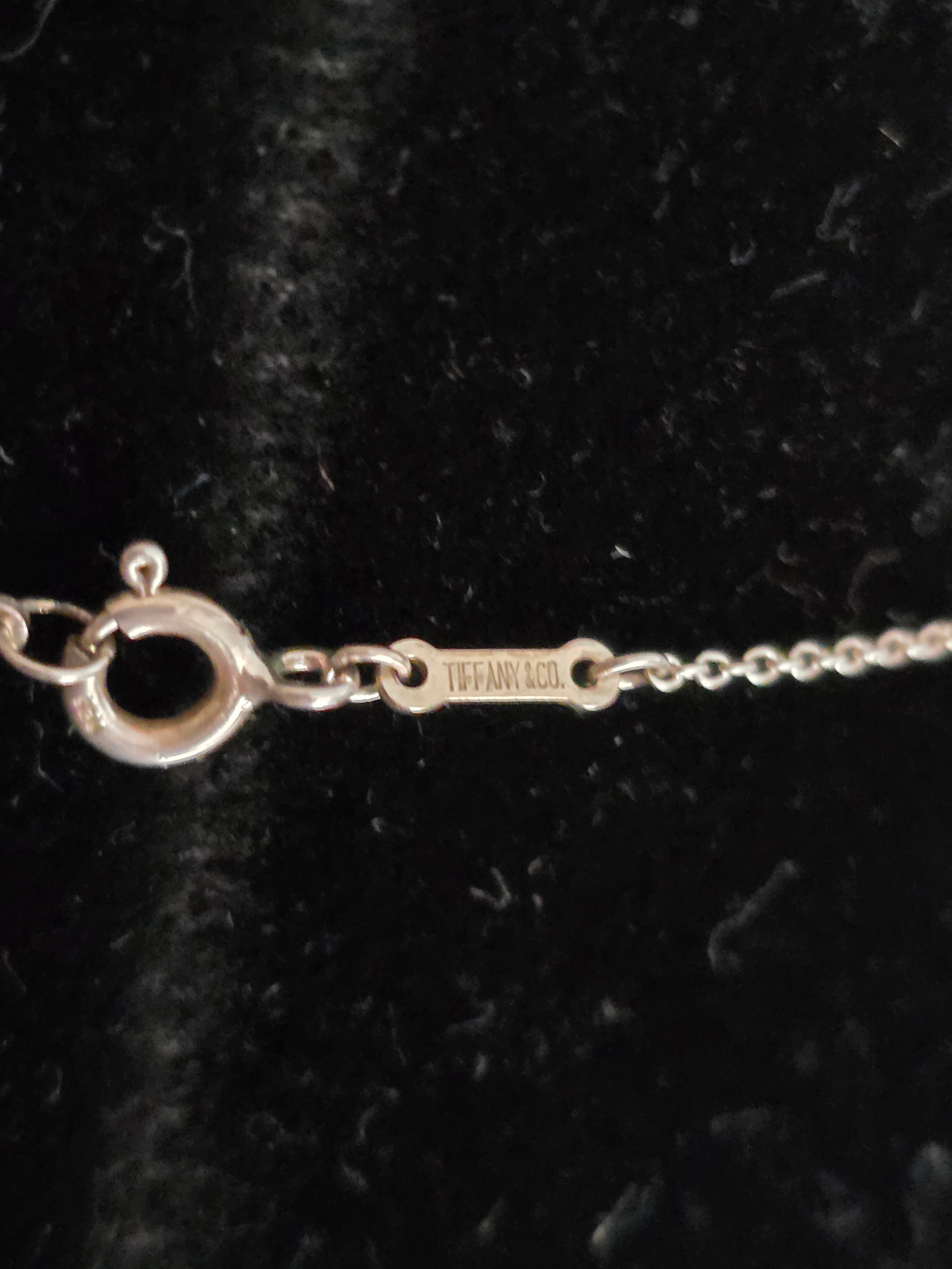 Authentic Tiffany & Co. Elsa Peretti Sterling Silver Eternal Circle Pendant Necklace